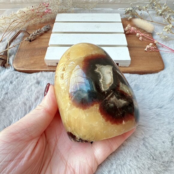 Beautiful Septarian Free Form - Picture 6 of 6